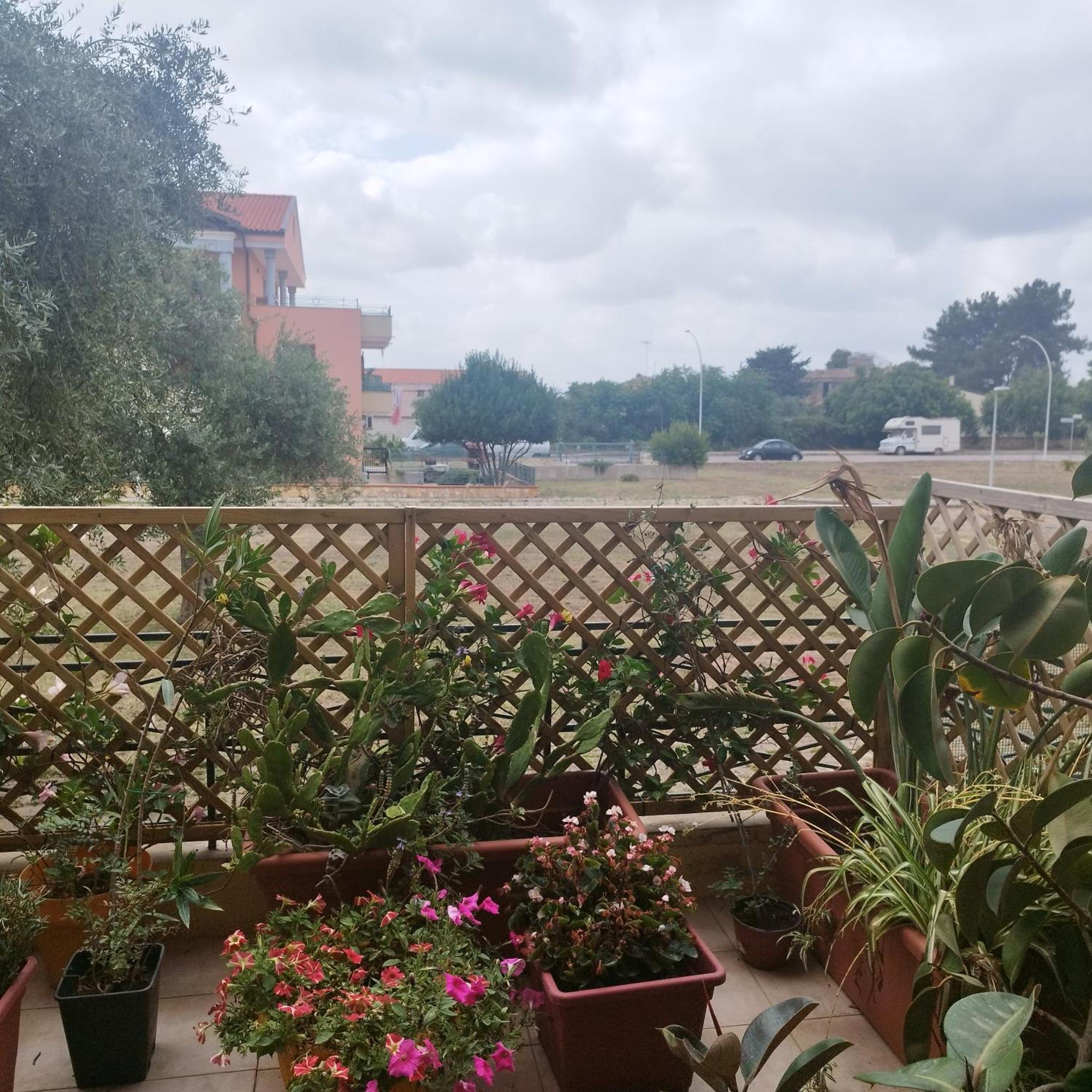 شقة Alghero Lovely Flat المظهر الخارجي الصورة