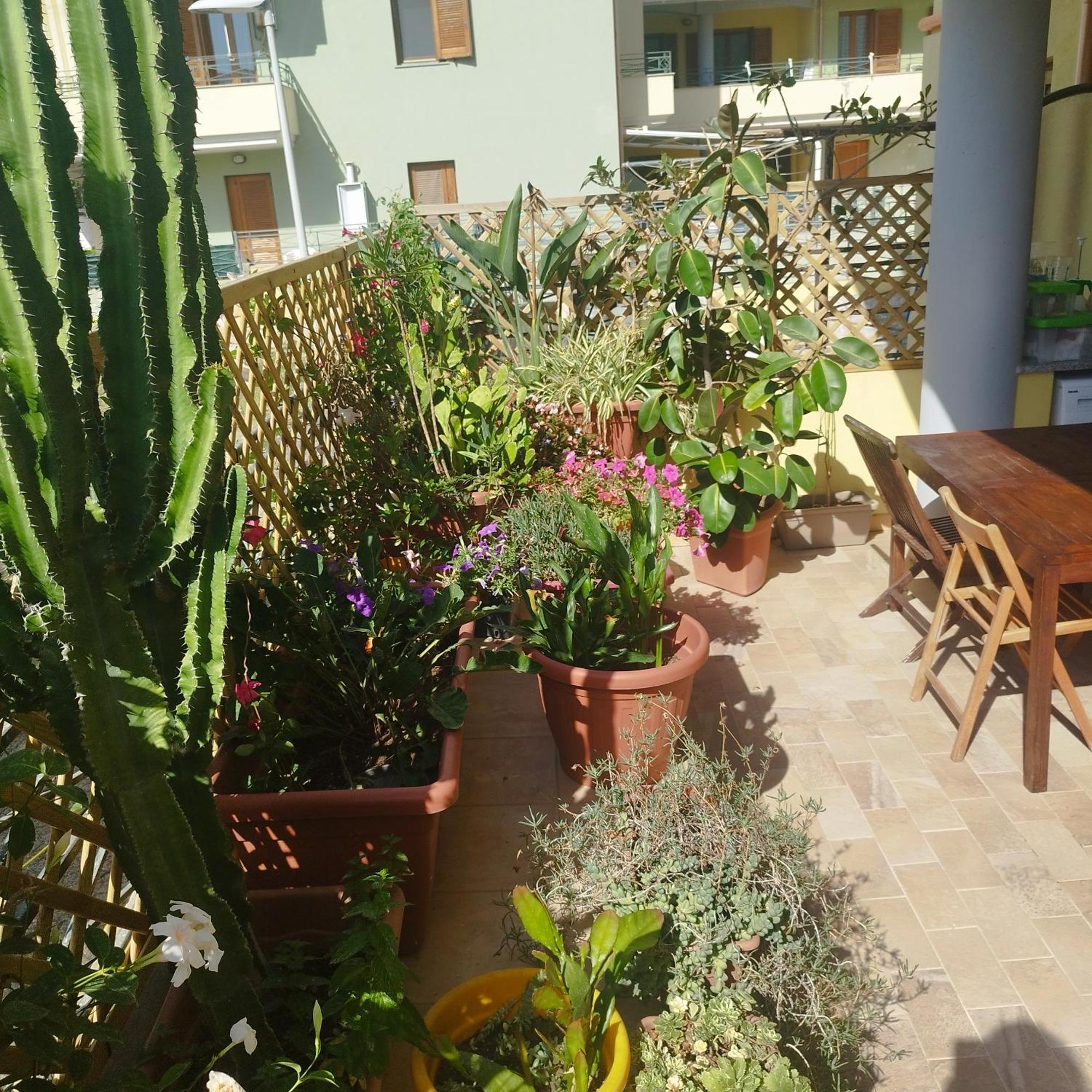 شقة Alghero Lovely Flat المظهر الخارجي الصورة