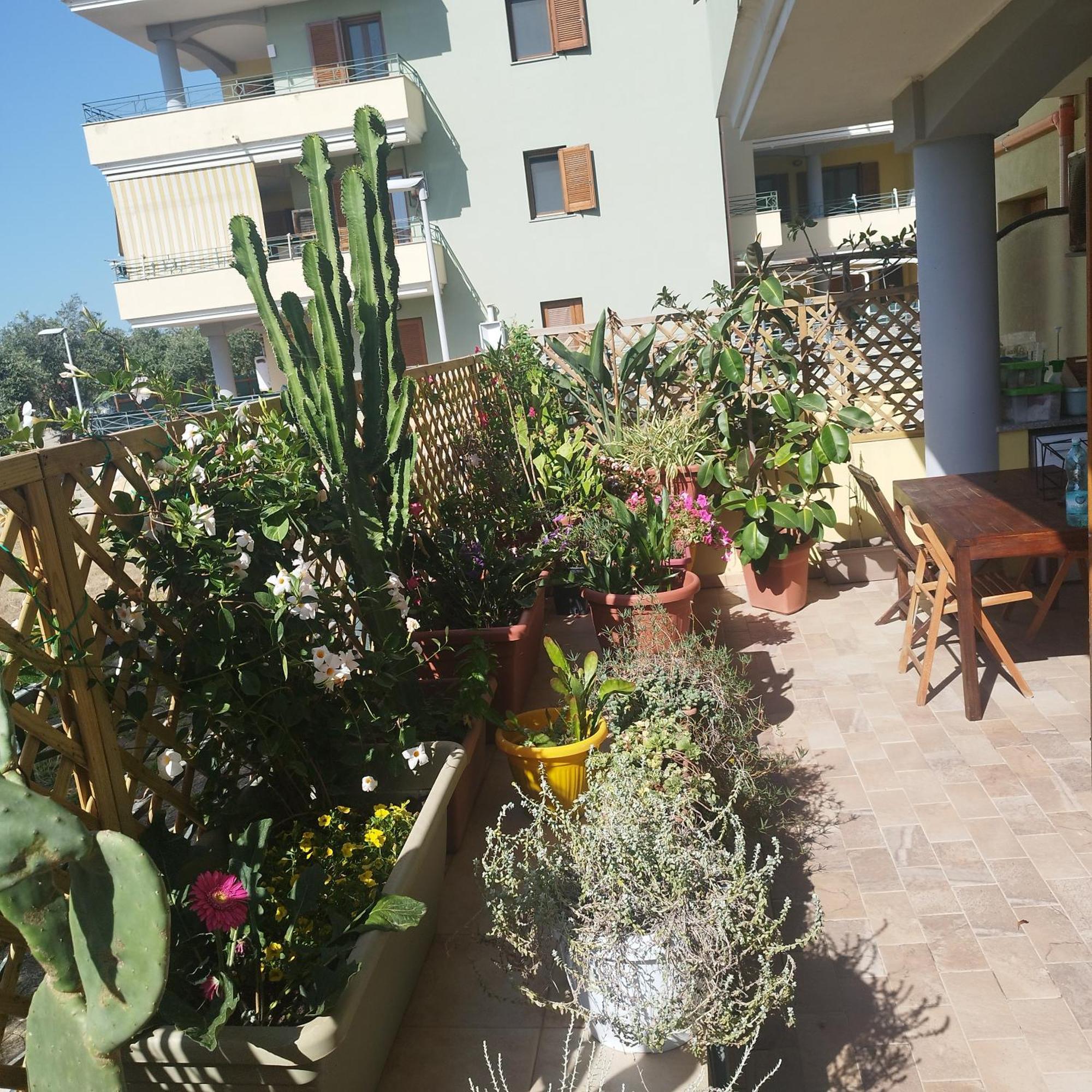 شقة Alghero Lovely Flat المظهر الخارجي الصورة